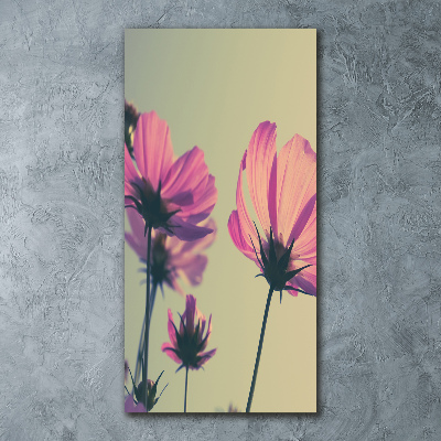 Staand plexiglas foto Roze bloemen