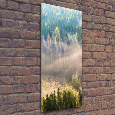 Staand foto in plexiglas Mist boven het bos