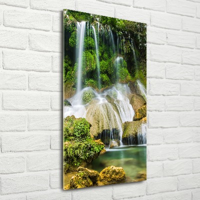 Staand foto op plexiglas Waterval in de jungle