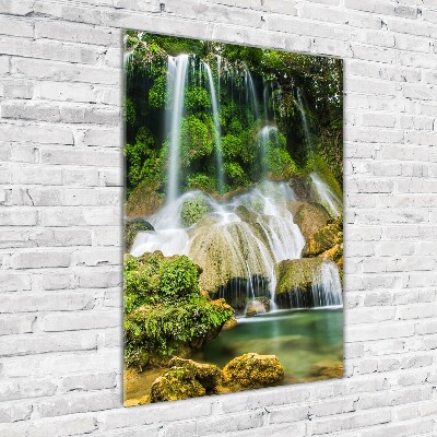 Staand foto op plexiglas Waterval in de jungle