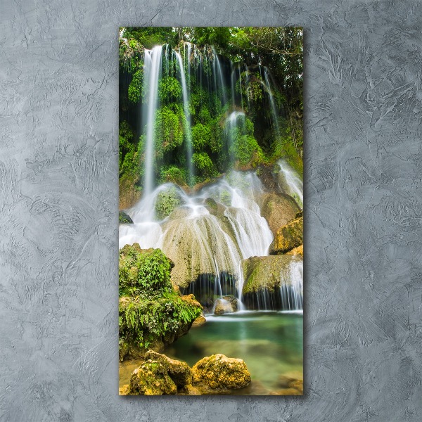 Staand foto op plexiglas Waterval in de jungle