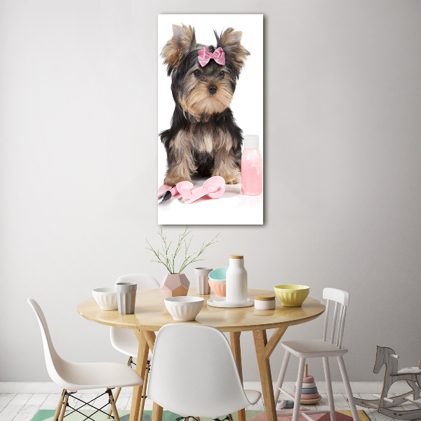 Foto obraz szkło akryl pionowy Yorkshire kosmetyki