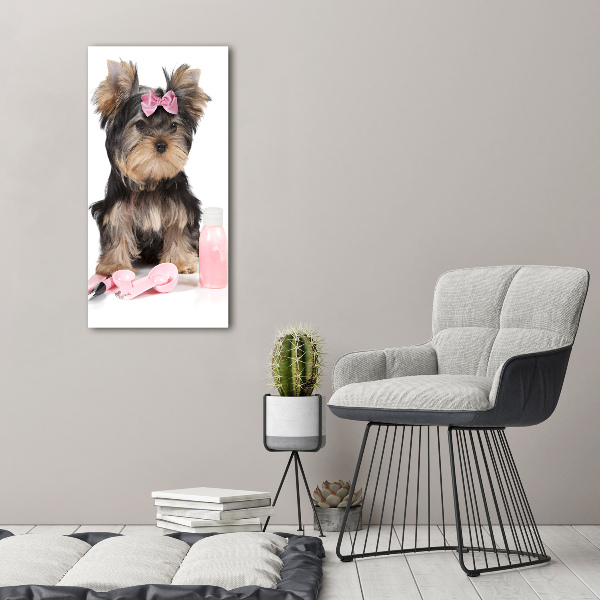 Staand foto plexiglas Yorkshire cosmetica