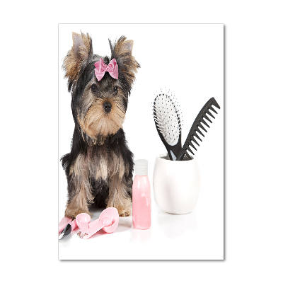 Staand foto plexiglas Yorkshire cosmetica