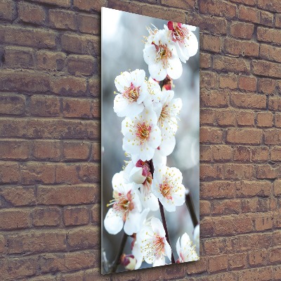 Staand foto op plexiglas Kersenbloesems