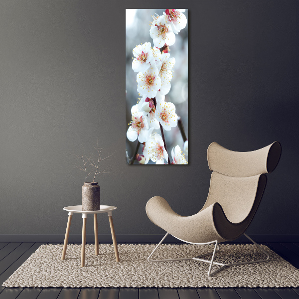 Staand foto op plexiglas Kersenbloesems