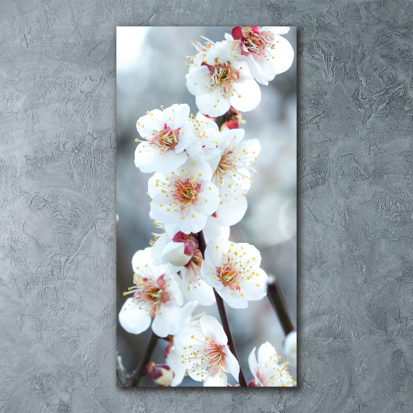 Staand foto op plexiglas Kersenbloesems