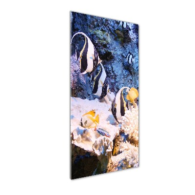 Staand plexiglas foto Koraalrif