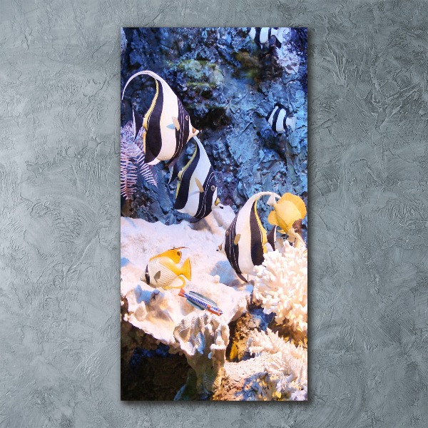 Staand plexiglas foto Koraalrif