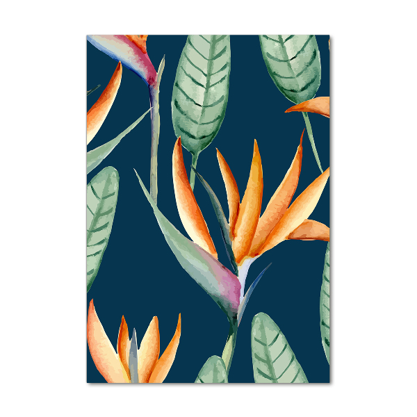 Staand plexiglas foto Strelitzia reginae