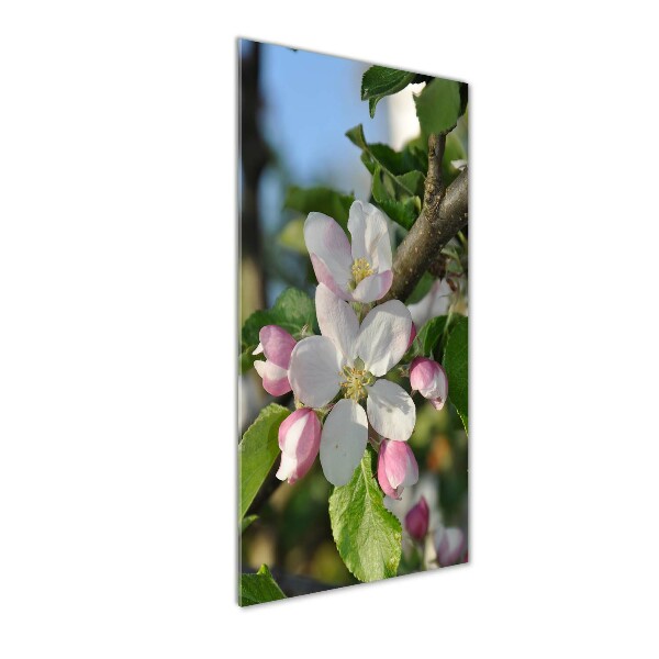 Staand plexiglas foto Kersenbloesems