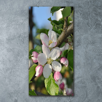 Staand plexiglas foto Kersenbloesems