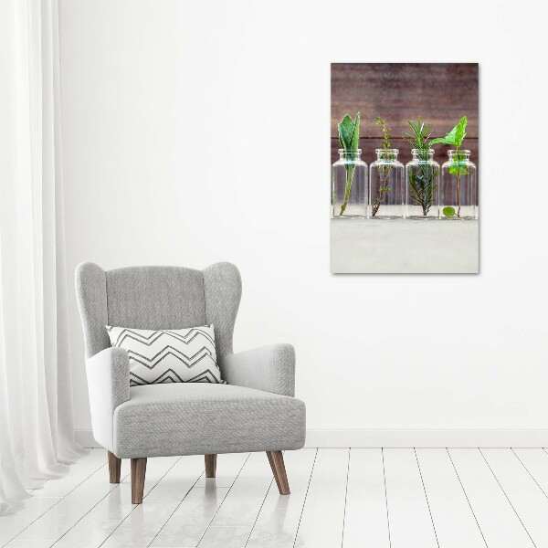 Staand foto in plexiglas Kruiden in potjes