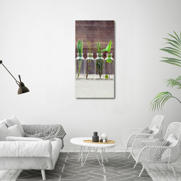 Staand foto in plexiglas Kruiden in potjes