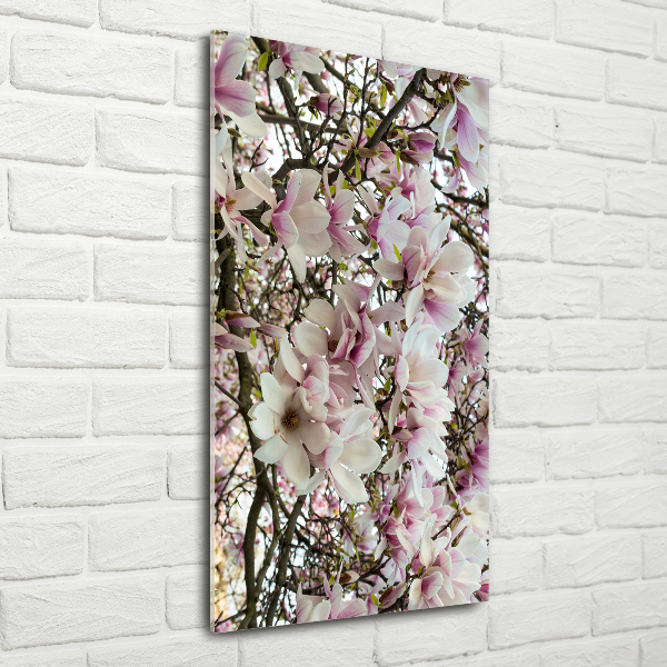 Staand foto op plexiglas Magnolia bloemen