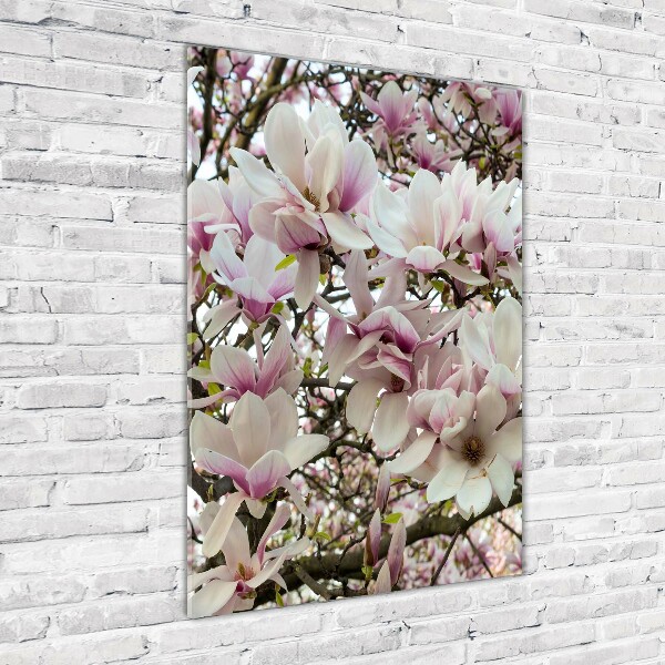 Staand foto op plexiglas Magnolia bloemen