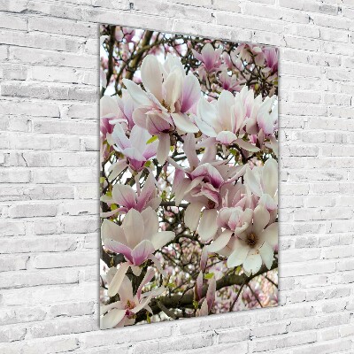 Staand foto op plexiglas Magnolia bloemen