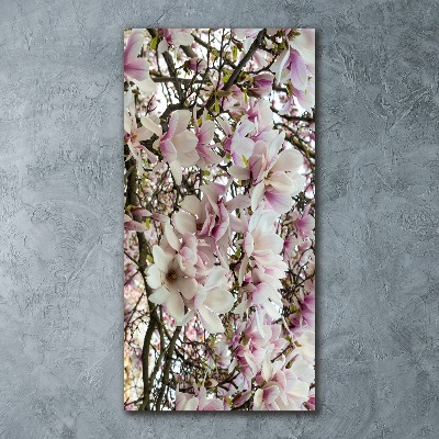 Staand foto op plexiglas Magnolia bloemen