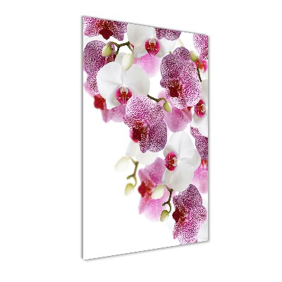 Staand foto plexiglas Orchidee