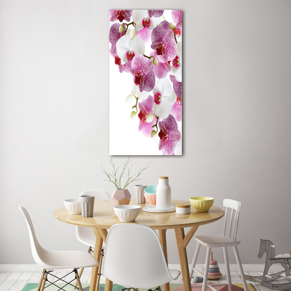 Staand foto plexiglas Orchidee