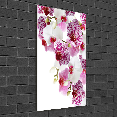 Staand foto plexiglas Orchidee