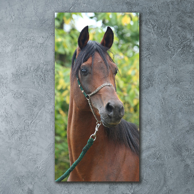 Staand plexiglas foto Portret van een paard