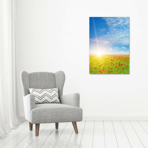 Staand foto op plexiglas Klaprozenveld