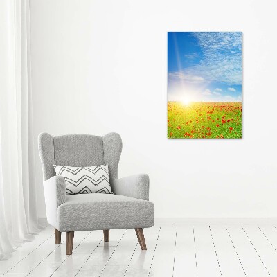 Staand foto op plexiglas Klaprozenveld