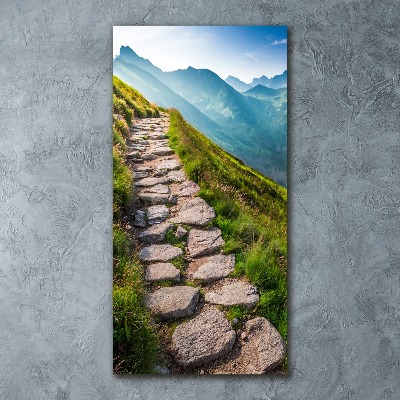 Obraz zdjęcie szkło akryl pionowy Górski szlak