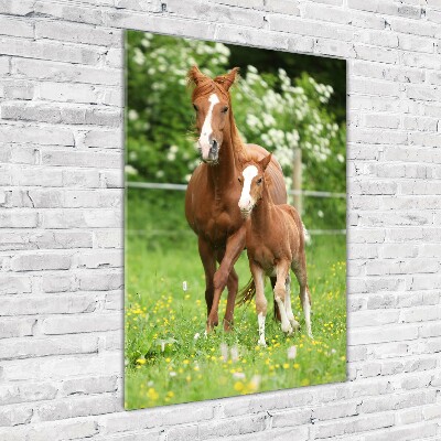 Staand foto plexiglas Merrie en veulen