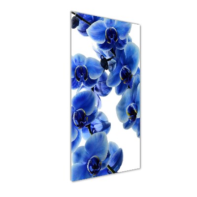 Staand plexiglas foto Blauwe orchidee