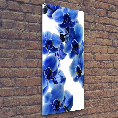 Staand plexiglas foto Blauwe orchidee