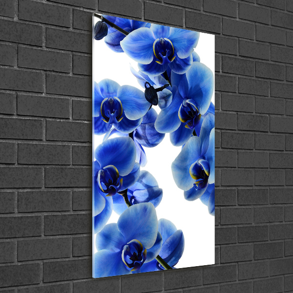 Staand plexiglas foto Blauwe orchidee