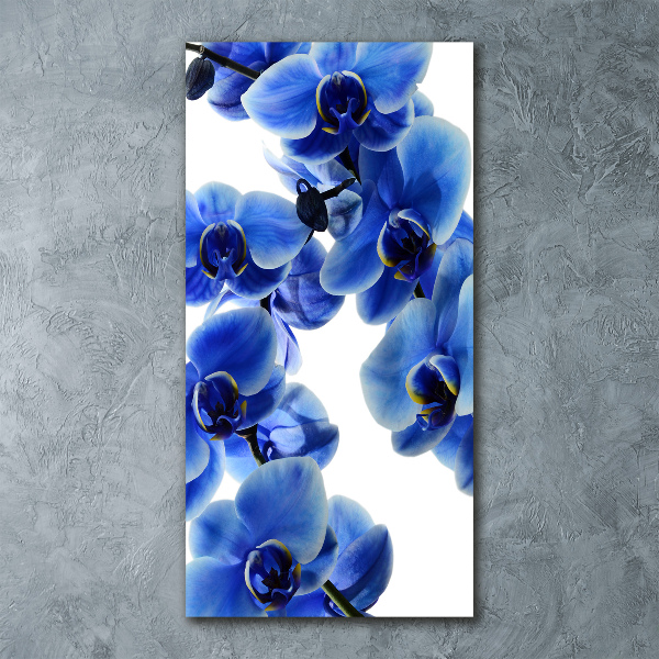 Staand plexiglas foto Blauwe orchidee