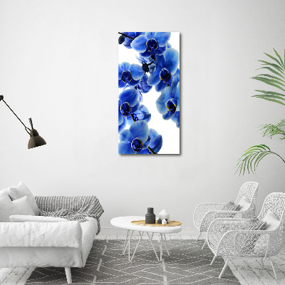 Staand plexiglas foto Blauwe orchidee