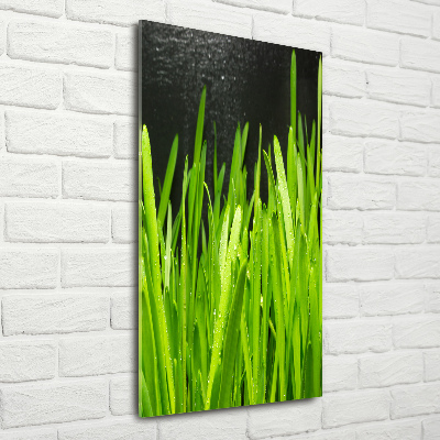 Staand foto plexiglas grassprieten