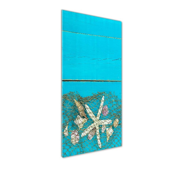 Staand foto plexiglas Schelpen en zeesterren