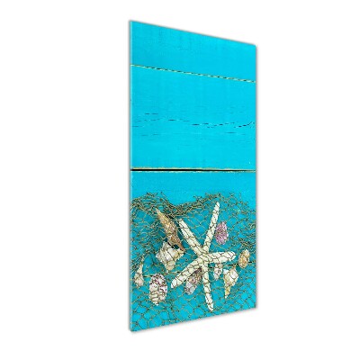 Staand foto plexiglas Schelpen en zeesterren