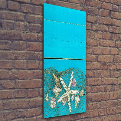 Staand foto plexiglas Schelpen en zeesterren