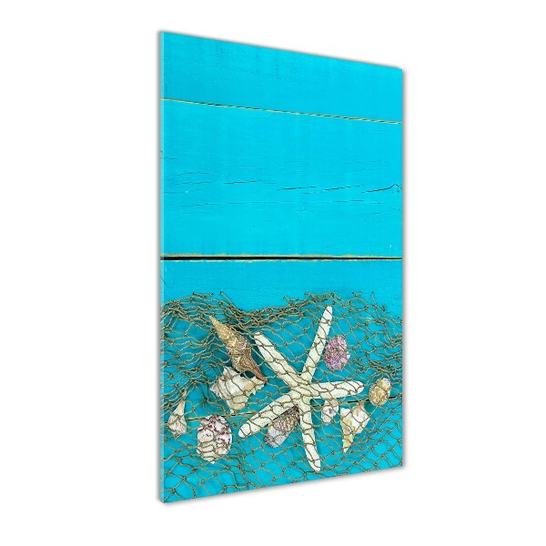 Staand foto plexiglas Schelpen en zeesterren