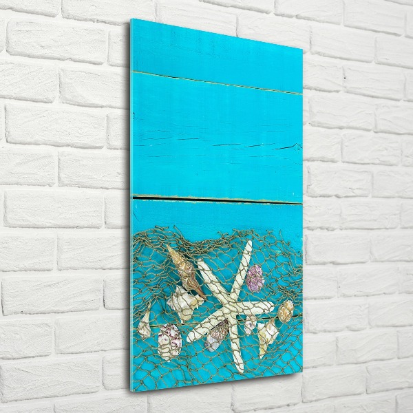 Staand foto plexiglas Schelpen en zeesterren
