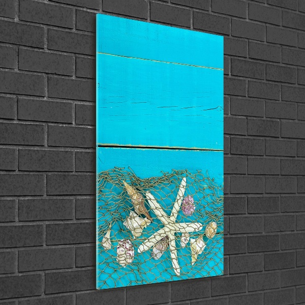 Staand foto plexiglas Schelpen en zeesterren