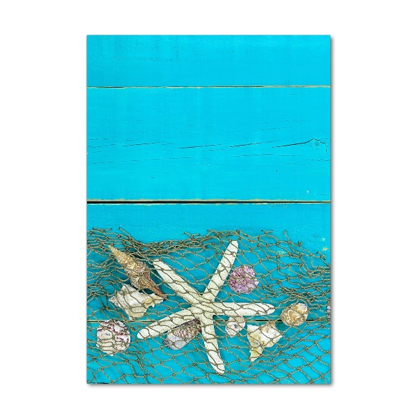 Staand foto plexiglas Schelpen en zeesterren