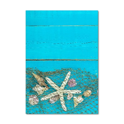 Staand foto plexiglas Schelpen en zeesterren