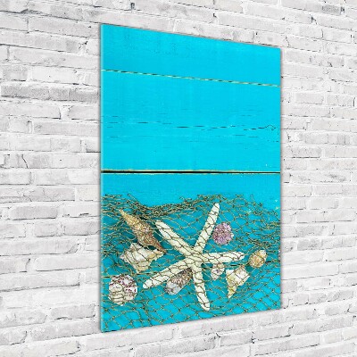 Staand foto plexiglas Schelpen en zeesterren