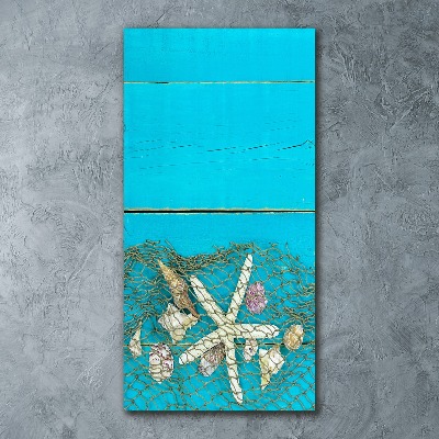 Staand foto plexiglas Schelpen en zeesterren