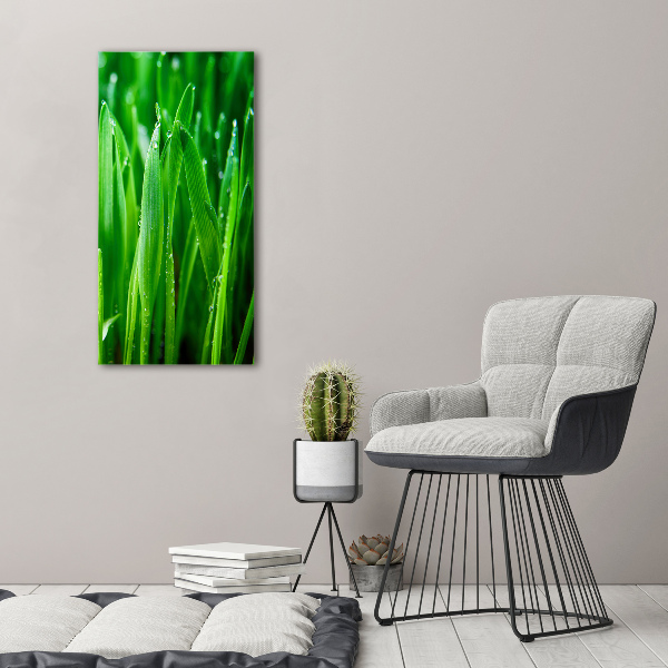 Staand foto op plexiglas grassprieten