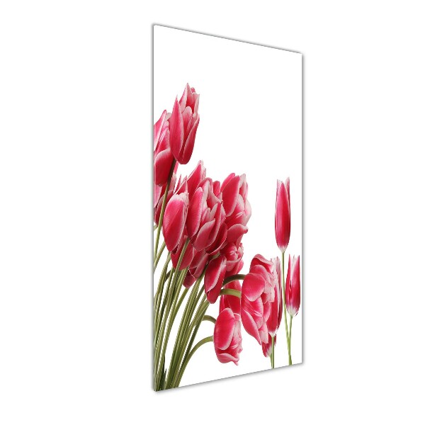 Staand plexiglas foto Rode tulpen