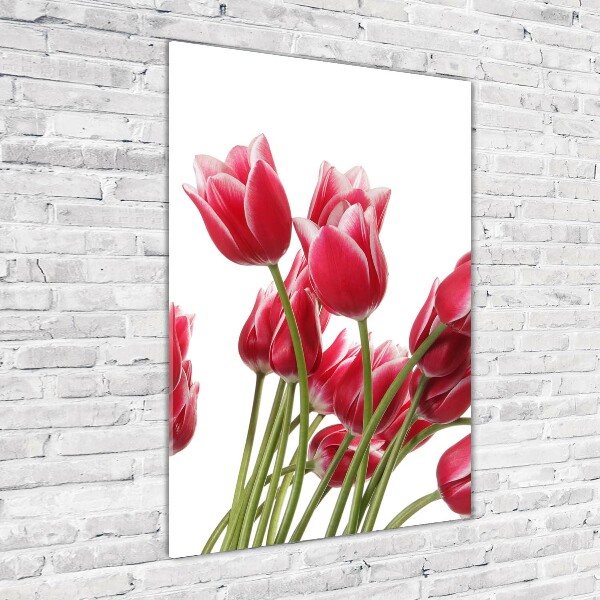 Staand plexiglas foto Rode tulpen