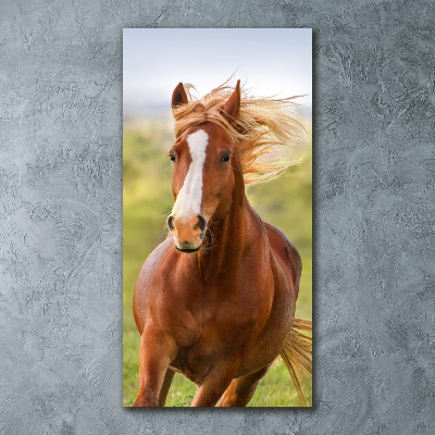 Staand foto in plexiglas Een galopperend paard
